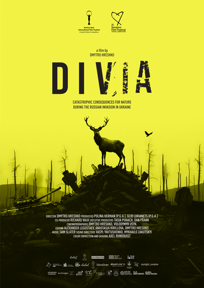 Plakat wydarzenia:  Divia
